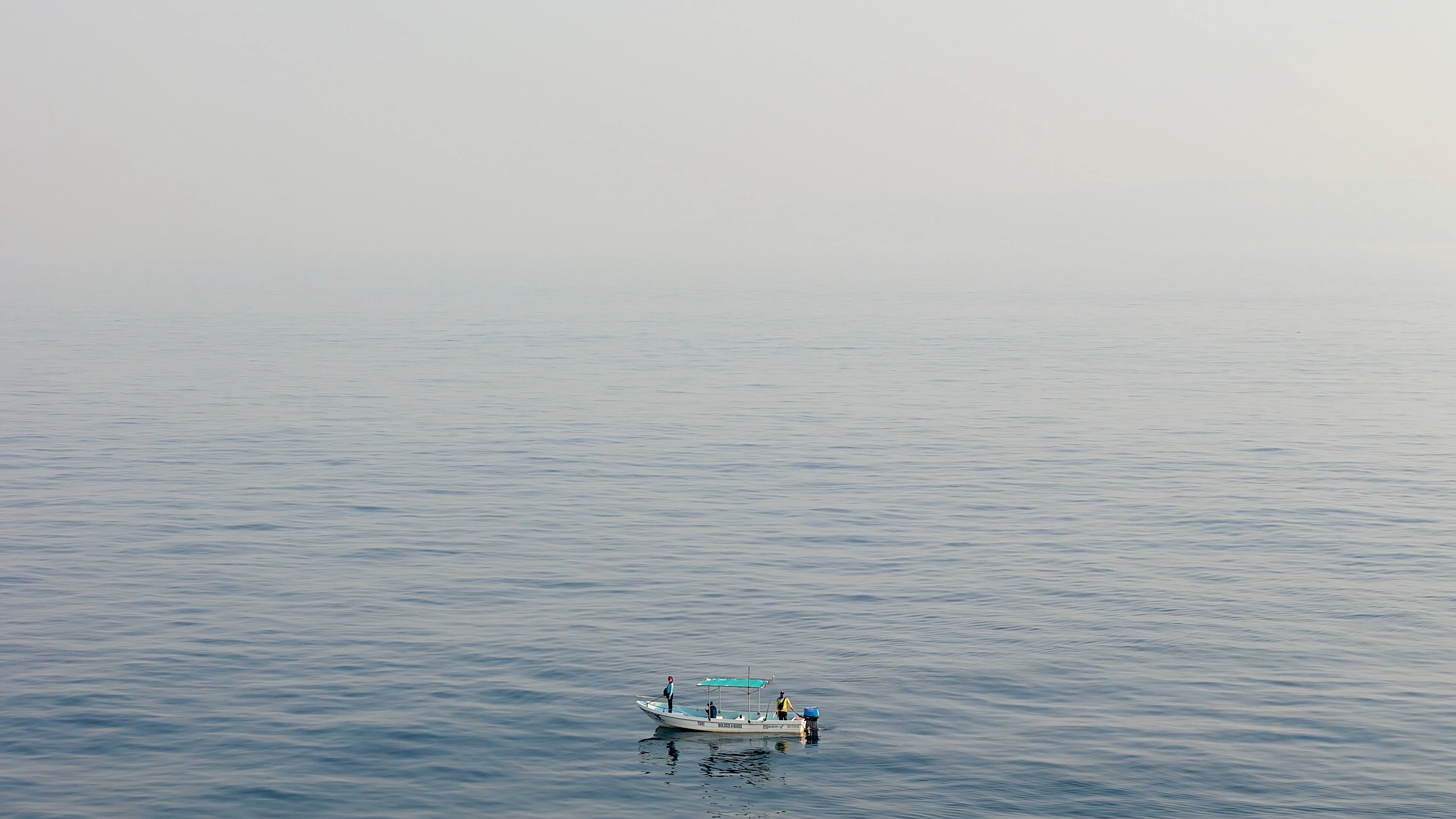 Field research photograph