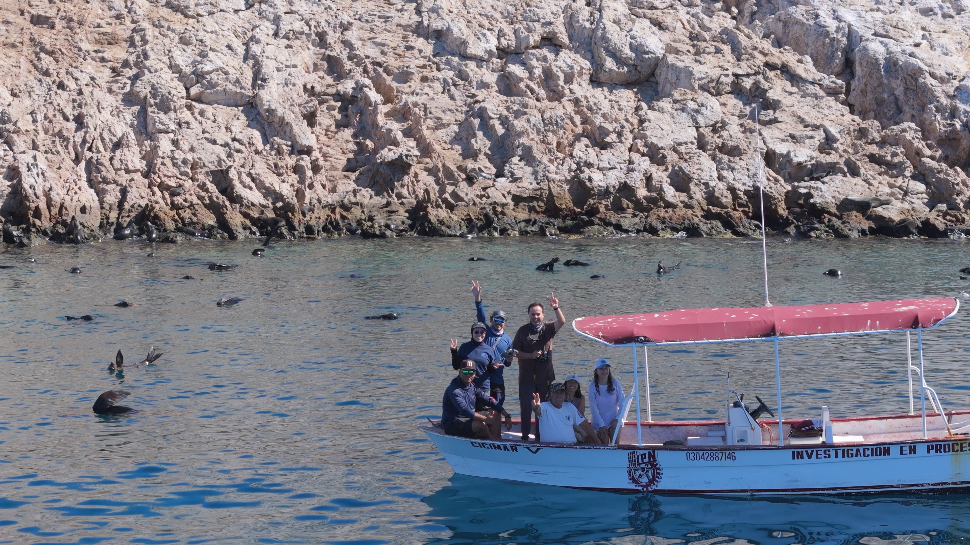 Marine fieldwork photograph