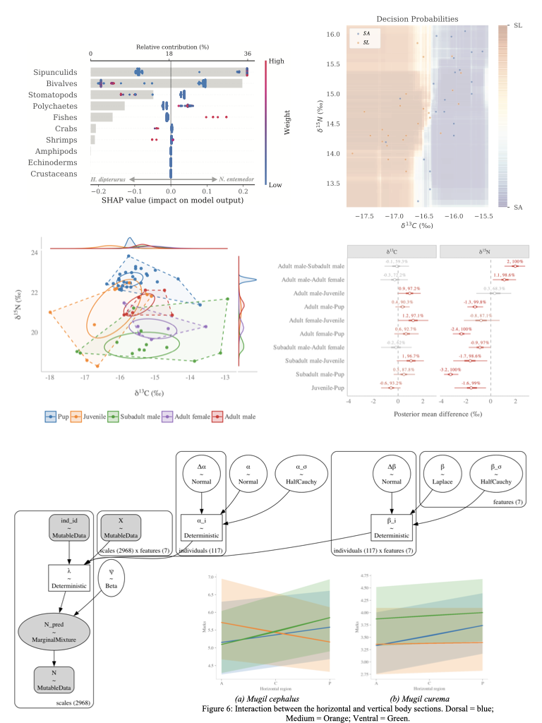 Examples of quantitative ecological analyses